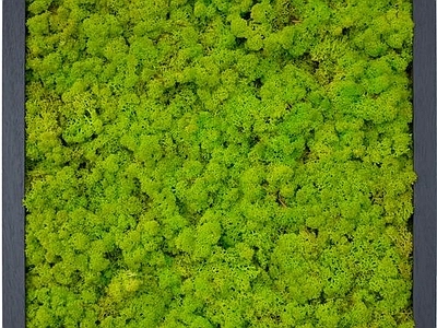 垂直绿化贴图 3