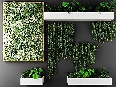 北欧植物盆栽 户外花草墙挂植物