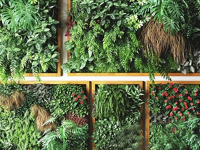 现代植物 盆栽 户外花草墙挂植物 绿植