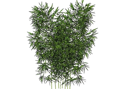 现代风格竹子
