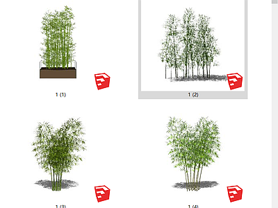 现代风格竹子 园林景观 庭院绿植 盆栽盆景 竹子小品