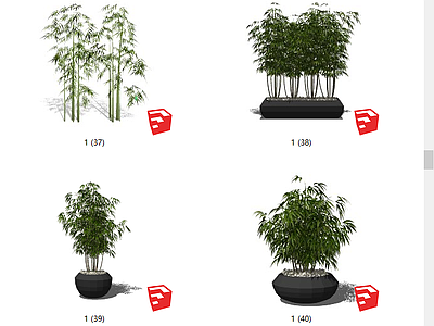 现代风格竹子