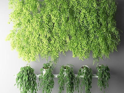 北欧植物盆栽 户外花草墙挂 植物