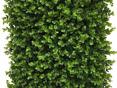 绿植墙