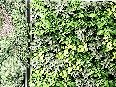 北欧植物盆栽 户外花草 墙挂植物