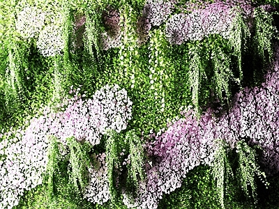现代植物 盆栽 户外花草 墙挂植物 绿植