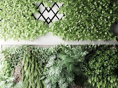 现代植物 盆栽户外花草 墙挂植物 绿植
