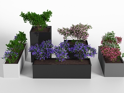 现代绿植盆栽 花箱