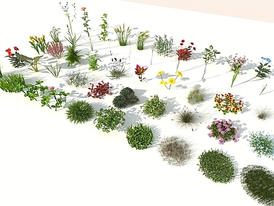 现代花草组合