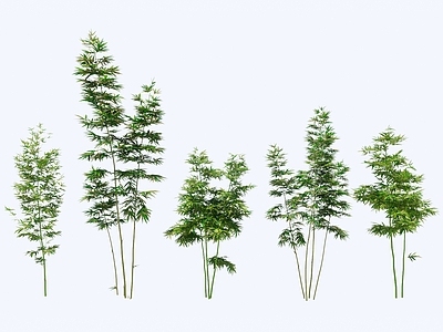 现代风格竹子