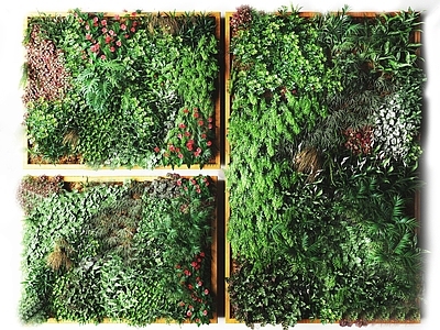 现代绿植墙 植物墙