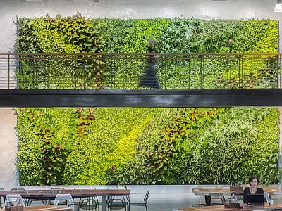 植物墙 贴图