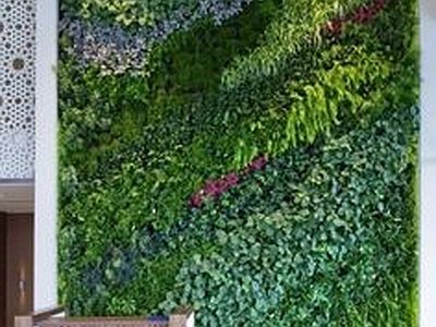 植物墙 贴图