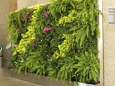 植物墙 贴图