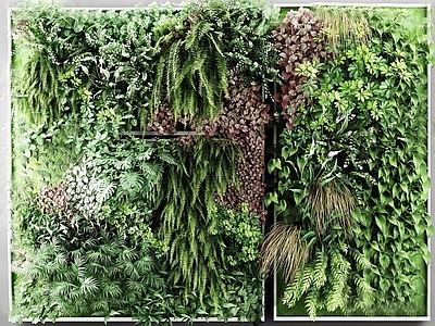 现代绿植墙 植物墙