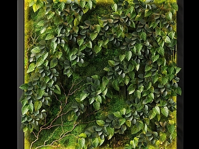 现代植物墙 绿植墙