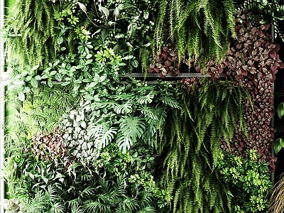 现代植物墙 户外花草 墙挂植物