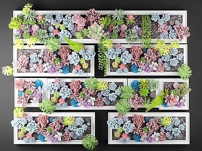 现代花卉墙 多肉植物 画框墙 画框 花卉墙