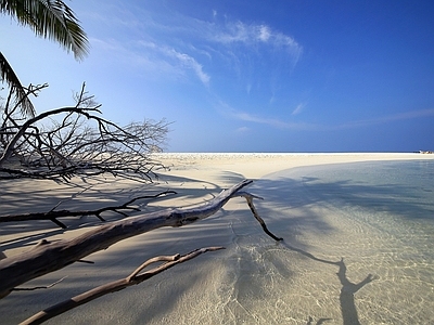 高清外景贴图