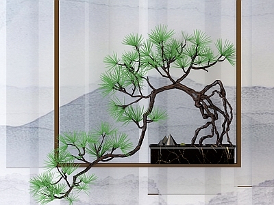 新中式盆景 盆栽 松树 罗汉松 饰品 摆件 园艺 盆艺