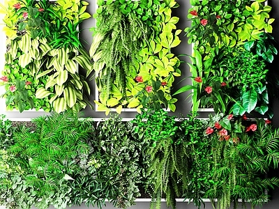 现代植物 户外花草 墙挂植物