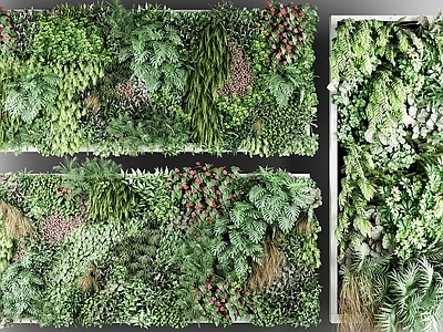 现代植物 盆栽 户外花草 墙挂植物 绿植