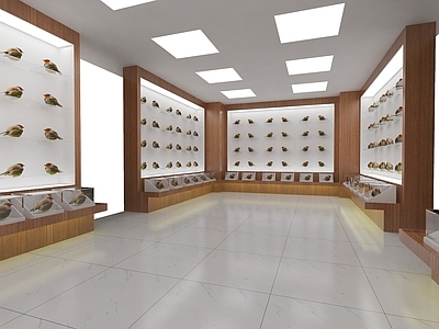 现代风格广告展厅 标本展厅