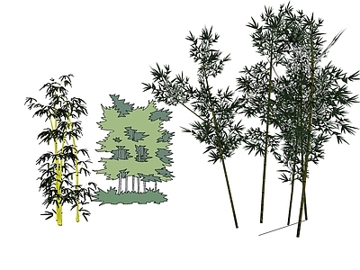 现代风格竹子