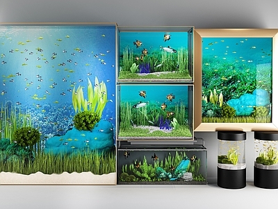 现代鱼缸水族馆 海洋馆 水草 鱼类 圆形鱼缸