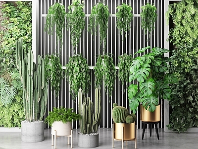 现代植物 户外花草 墙挂植物