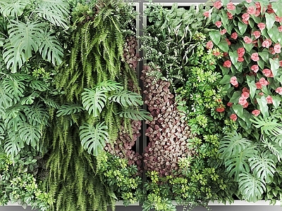 现代植物 盆栽 户外花草 墙挂植物 绿植