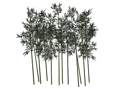 新中式风格竹子