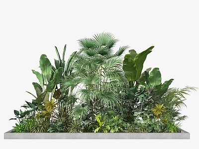 现代 植物堆 盆景 植物堆 植物 灌木 橱 美陈 园艺