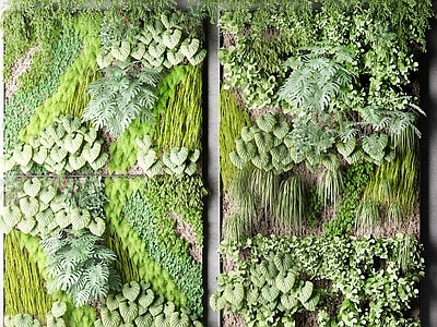 现代植物 户外花草 墙挂植物