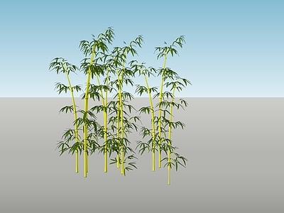 现代风格竹子
