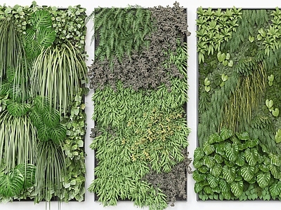 现代绿植墙