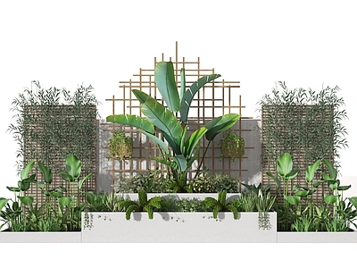 现代盆栽 植物 植物堆 堆 园艺 盆景 灌木