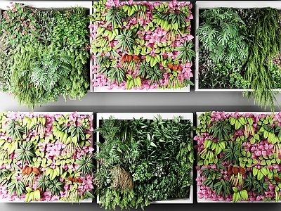 现代绿植墙 植物 户外花草 墙挂植物