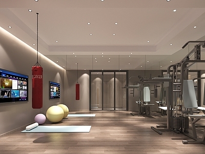 现代健身房 沙袋 瑜伽垫 健身器械