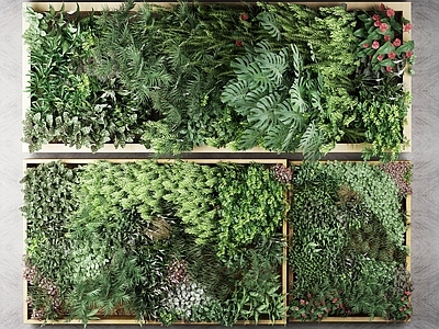 现代植物 户外花草 墙挂植物