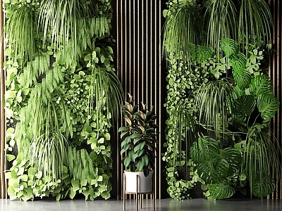现代绿植墙 植物 户外花草 墙挂植物