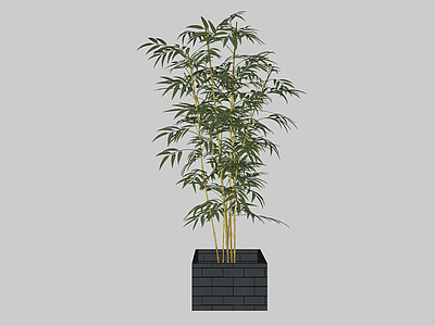现代风格竹子