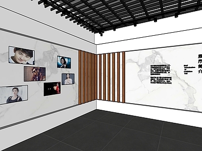 现代风格展厅 明星展厅