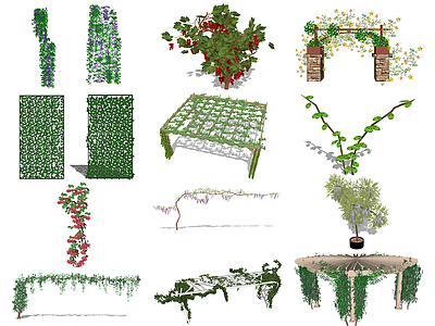 现代藤蔓藤本 爬藤 绿植墙 藤本植物 绿植墙