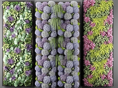 现代植物 盆栽 户外花草 墙挂植物 绿植