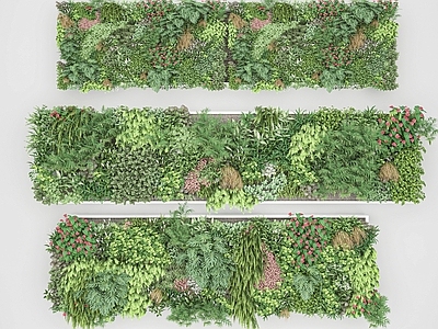 现代绿植墙 花草