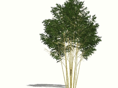 现代风格竹子