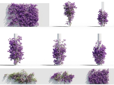 现代藤蔓花 爬山虎 柱子绿植 绿植墙 花草