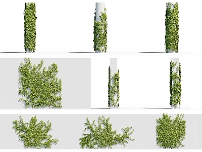 现代绿植墙 藤蔓 爬山虎 柱子绿植 花草