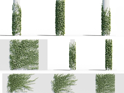 现代绿植墙 藤蔓 爬山虎 花草